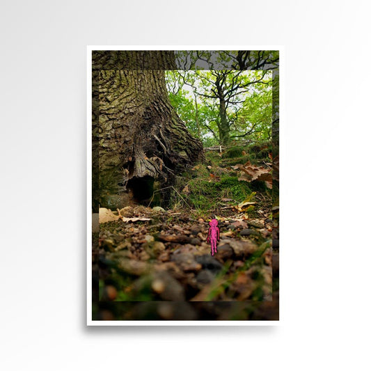 Photography print image of lifelike miniature figure, looking at a hole in a tree that looks like it could be a cave. Colours brown, green, yellow, magenta. Purpose, to be enjoyed, questioned and disused. 
JPG
• 833 × 833
• 111.04 kB