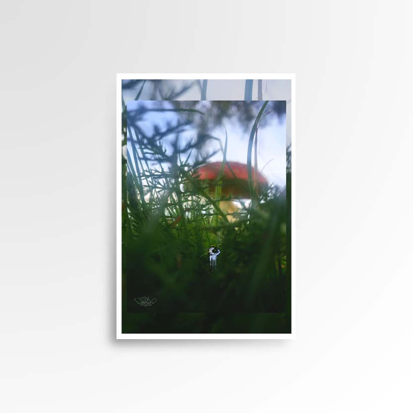 Photography print image of lifelike figure, hidden in grass looking at a big red mushroom that looks like a red button. Colours white, blue, black. green, red, white. Purpose, to be enjoyed in someone's home.
JPG
• 833 × 833
• 49.65 kB