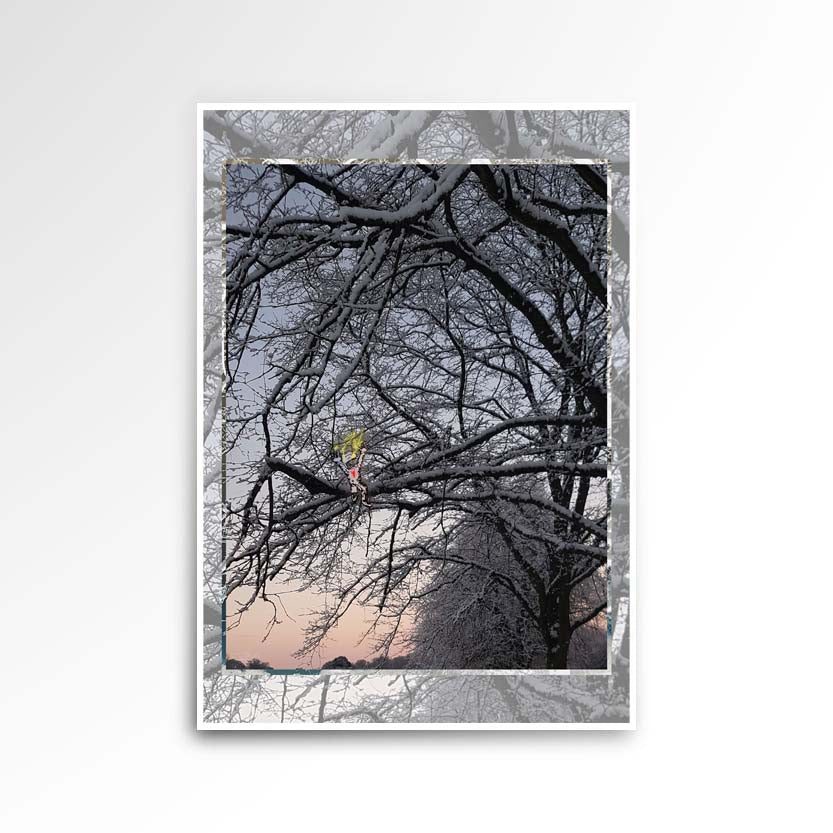 Photography image print showing a tree covered in snow on the right side. The horizon has a hue of blue purple cream peach beige.  Purpose, to be enjoyed, questioned and discussed.
 JPG
• 833 × 833
• 119.29 kB