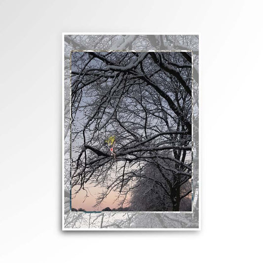 Photography image print showing a tree covered in snow on the right side. The horizon has a hue of blue purple cream peach beige.  Purpose, to be enjoyed, questioned and discussed.
 JPG
• 833 × 833
• 119.29 kB