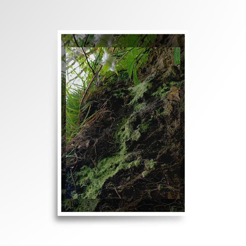 Photography print image of lifelike figure, hanging on a branch looking a moss that looks like a swamp. Colours green, brown, white, black, blue. Purpose, to be enjoyed, questioned and disused.
JPG
• 833 × 833
• 107.99 kB