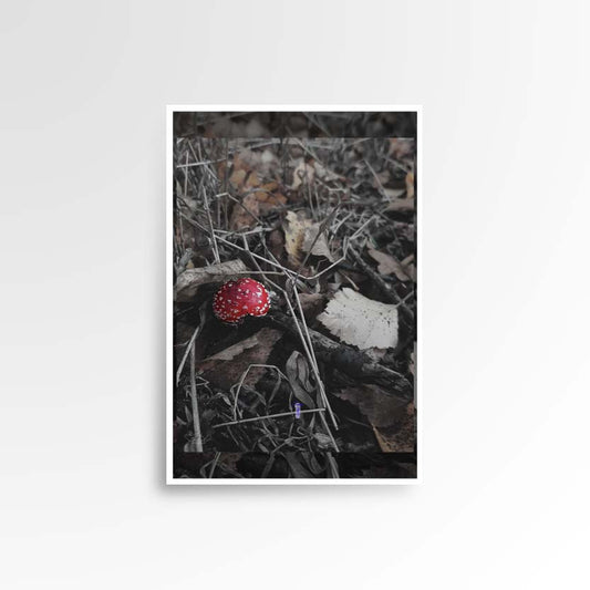 Photography print image of lifelike figure, hidden in decaying leaves next to a bright red mushroom. Colours red, white, brown, yellow, violet. Purpose, to be enjoyed in someone's home.
JPG
• 833 × 833
• 63.31 kB