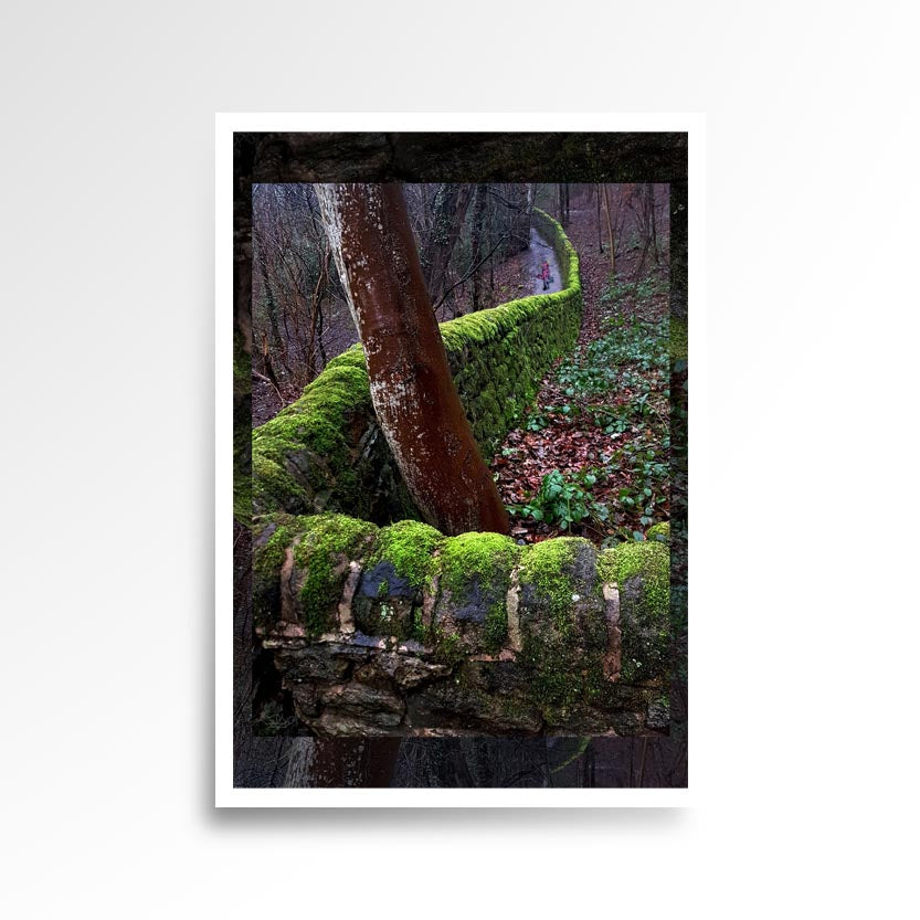 Photography print image of lifelike miniature figure, jogging down a path next to a stone wall. Colours green brown, white. Purpose, to be enjoyed, questioned and disused.
JPG
• 833 × 833
• 120.68 kB