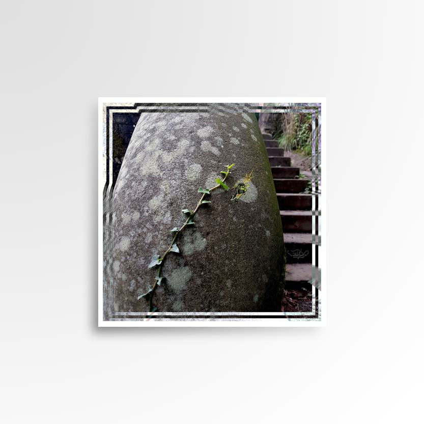 Photography print image of lifelike figure, leaping off the edge of a vine that looks like a flight of stairs. colours grey, green, brown yellow burgundy. Purpose, to be enjoyed, questioned and discussed.
JPG
• 833 × 833
• 81.87 kB