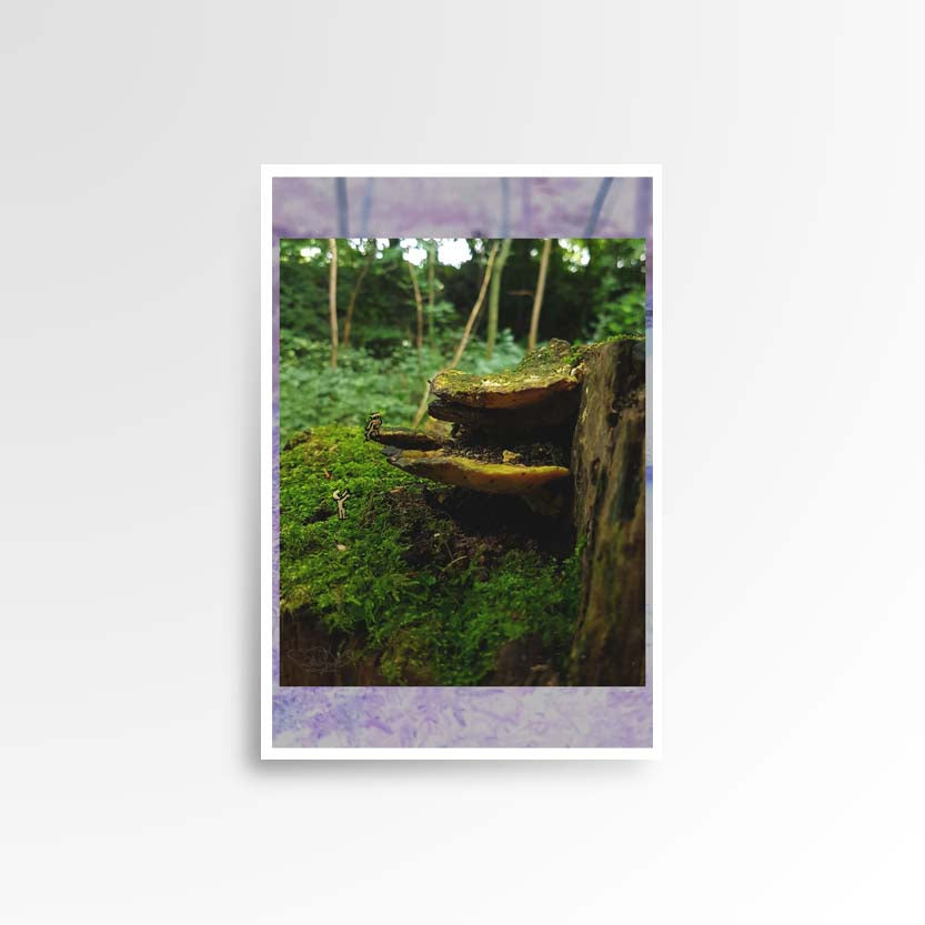 Photography print image of lifelike figures, helping each other climb mushrooms on a decaying piece of wood. Colours yellow, green, brown, violet, blue. Purpose, to be enjoyed in someone's home.
JPG
• 833 × 833
• 61.63 kB