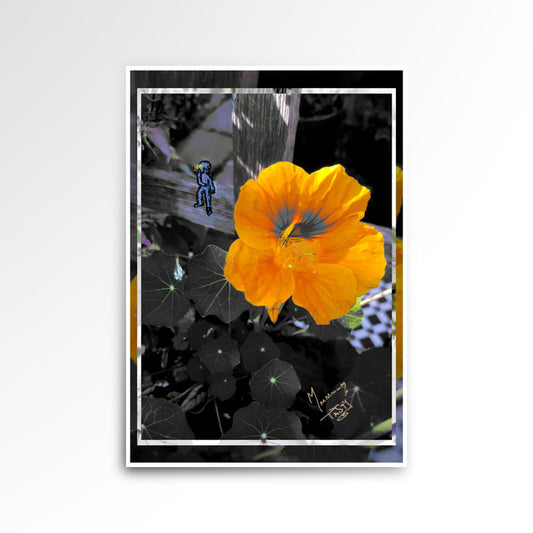 JPG photography print, image a flower
• 833 × 833 • 92.77 kB