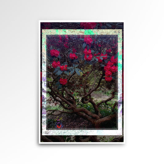 Photography print, image of a tree with flowers, colours red green brown.
JPG
• 833 × 833
• 143.44 kB