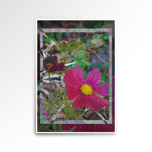 Photography print, image of a flower colours are green, yellow, magenta.
JPG
• 833 × 833
• 102.86 kB