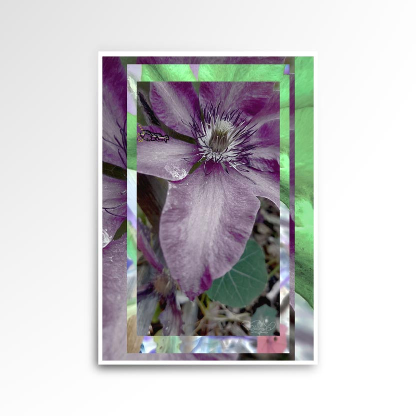 Photography print, image of a flower colours are purple and green.
JPG
• 833 × 833
• 81.73 kB