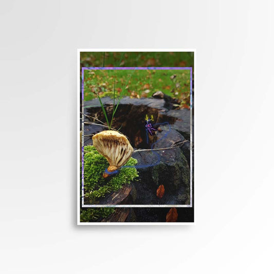 Photography print image of lifelike figure, abseiling down a hole from an old tree hanging on a oyster mushroom. Colours green, brown, yellow. Purpose, to be enjoyed in someone's home. 
JPG
• 833 × 833
• 67.68 kB