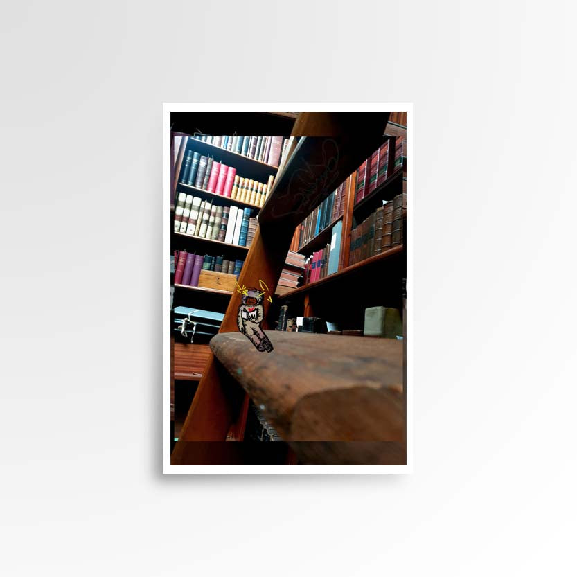 Photography print image of lifelike figure reading book on some ladders in a library. colours brown, red, green. Purpose, to be enjoyed,  Purpose, to be enjoyed, questioned and discussed.
JPG
• 833 × 833
• 63.66 kB