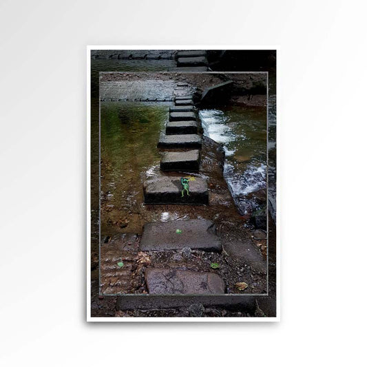 Photography image of a print, river with stepping stones.  Purpose, to be enjoyed, questioned and discussed.
JPG
• 833 × 833
• 94.11 kB