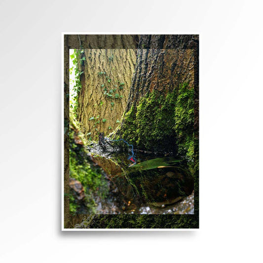 Photography print image of lifelike figure, fishing for something in captured water that formed a pond made from craves of a tree, a reflection gives the sense of a mountain horizon. Colours green, yellow, blue, red, white, black. Purpose, to be enjoyed, questioned and disused.
JPG
• 833 × 833
• 110.99 kB