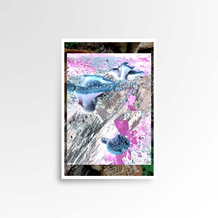 Photography print image of three lifelike figures, hidden in a jungle of mycelium, colours blue, cyan, purple, magenta, pink, violet brown, white. green orange. Purpose, to be enjoyed, questioned and disused.
JPG
• 833 × 833
• 87.26 kB