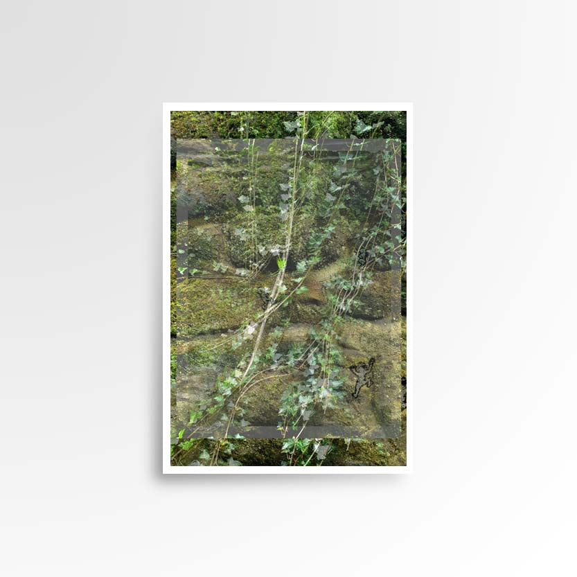Photography print image of brick wall covered in vines and leaves with a lifelike figure climbing. Purpose, to be enjoyed, questioned and discussed.
JPG
• 833 × 833
• 87.05 kB